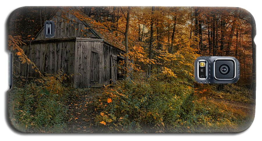 Barn Galaxy S5 Case featuring the photograph Autumn Canopy by Robin-Lee Vieira