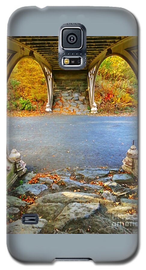 Nature Galaxy S5 Case featuring the photograph Autumn Crunch by Charlie Cliques