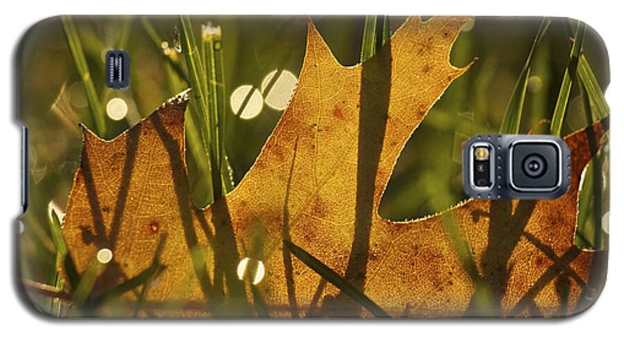 Autumn Galaxy S5 Case featuring the photograph Autumn Dew by Penny Meyers