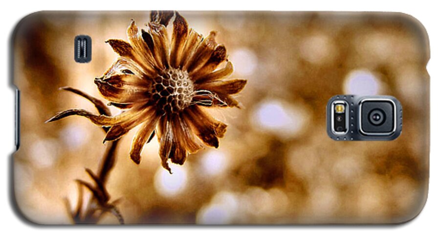 Macro Galaxy S5 Case featuring the photograph Autumn Flower by Stephanie Hollingsworth
