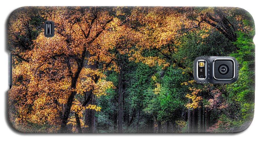 Yosemite Galaxy S5 Case featuring the photograph Autumn Glow by Anthony Michael Bonafede