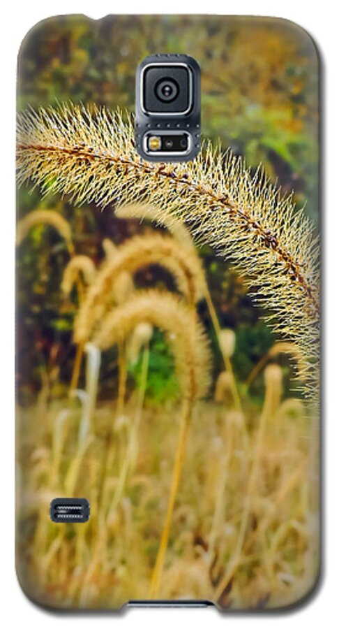 Autumn Galaxy S5 Case featuring the photograph Autumn Grass by Robert Mitchell