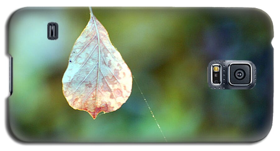 Leaves Galaxy S5 Case featuring the photograph Autumn Leaf Suspended by Linda Cox