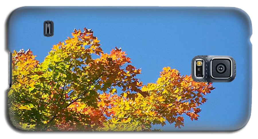 Autumn Leaves Galaxy S5 Case featuring the photograph Autumn Leaves by Jackie Mueller-Jones