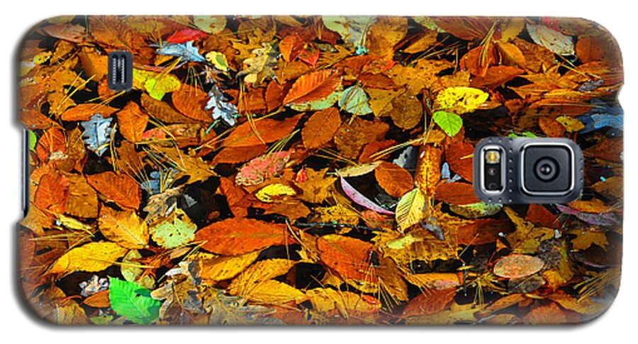 Leaves Galaxy S5 Case featuring the photograph Autumn Leaves by Randy Rogers