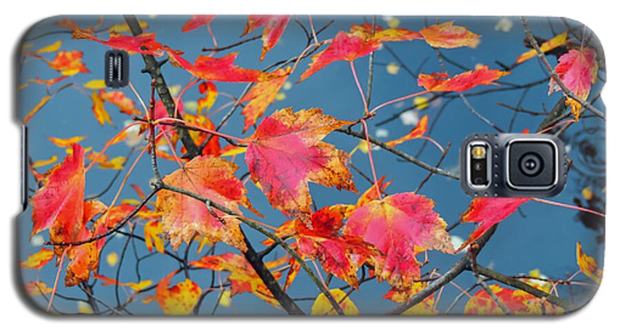 Autumn Galaxy S5 Case featuring the photograph Autumn Leaves by Robert Mitchell