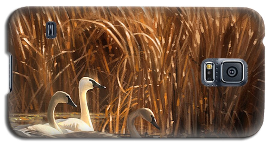 Swans Galaxy S5 Case featuring the digital art Autumn Light- Trumpeter Swans by Aaron Blaise