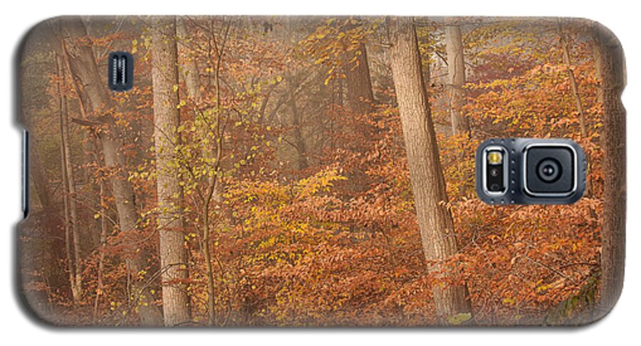 Landscape Galaxy S5 Case featuring the photograph Autumn Mist by Patrice Zinck