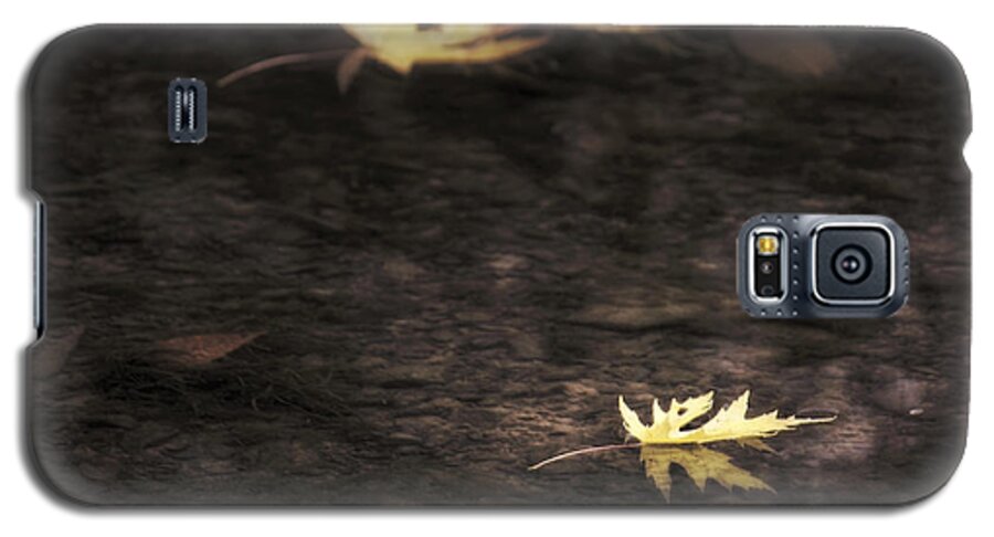 Autumn Galaxy S5 Case featuring the photograph Autumn Mood - Fall - Leaves by Jason Politte