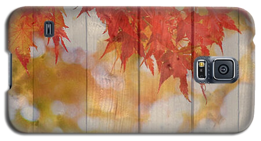Autumn Galaxy S5 Case featuring the photograph Autumn Outdoors 2 of 2 by Beverly Claire Kaiya