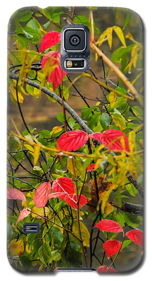 Autumn Galaxy S5 Case featuring the photograph Autumn Rain by Robert Mitchell