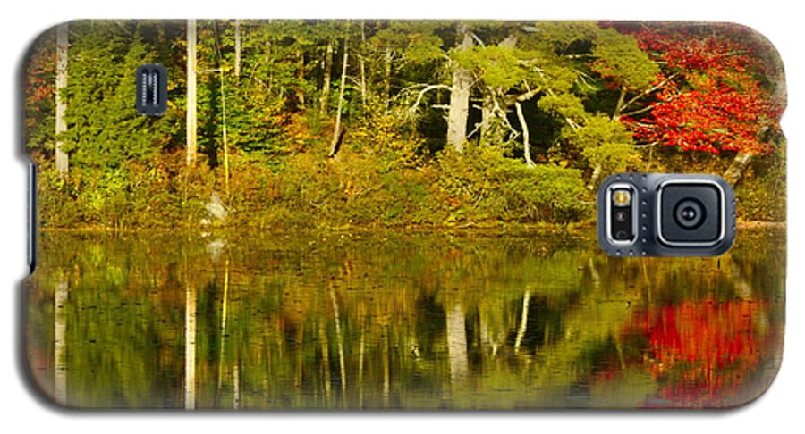Moose Pond; Denmark Galaxy S5 Case featuring the photograph Autumn Reflections by Alice Mainville
