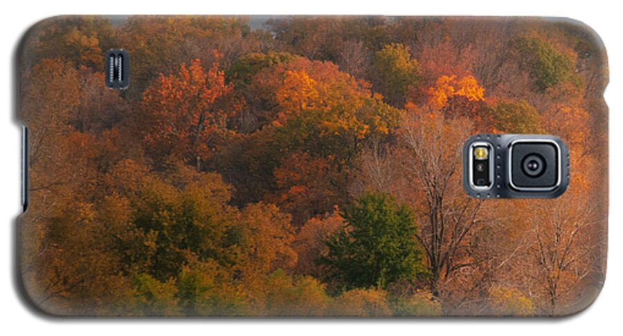 Autumn Galaxy S5 Case featuring the photograph Autumn Splendor by Don Spenner
