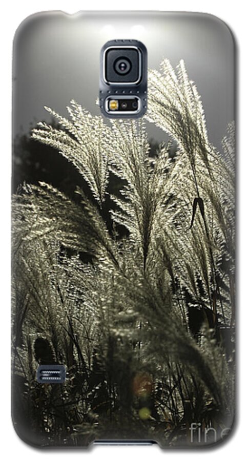 Autumn Galaxy S5 Case featuring the photograph Autumn Whispers by Kate Purdy