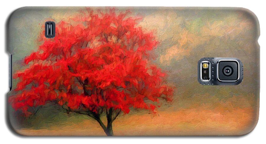 Dogwood Galaxy S5 Case featuring the photograph Autumns Colors by Darren Fisher