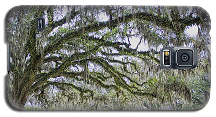 Avery Island Oak Galaxy S5 Case featuring the photograph Avery Island Oak by Bonnie Barry