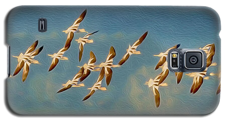 American Avocet Galaxy S5 Case featuring the photograph Avocet Art by Alice Cahill
