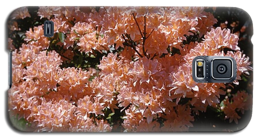 Retro Images Archive Galaxy S5 Case featuring the photograph Azalea Flower by Retro Images Archive