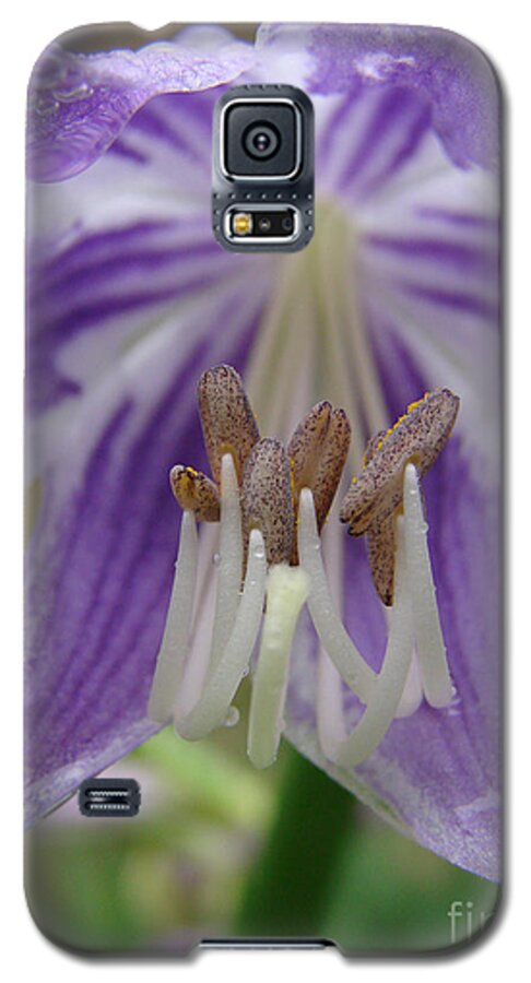 Flower Galaxy S5 Case featuring the photograph Baby Face by Mark Holbrook