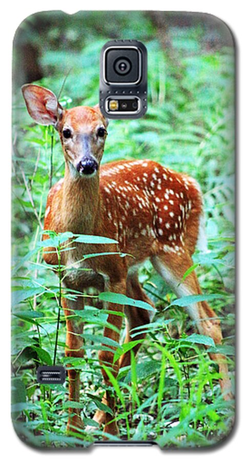 Fawn Galaxy S5 Case featuring the photograph Baby Fawn by Lorna Rose Marie Mills DBA Lorna Rogers Photography