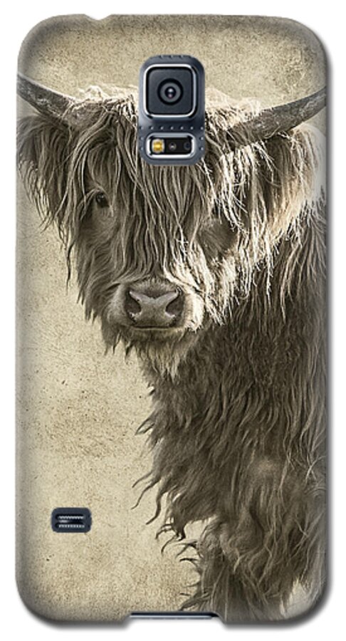 Baby Highland Galaxy S5 Case featuring the photograph Baby Highland by Wes and Dotty Weber
