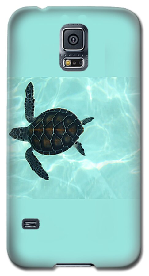 Swimming Baby Sea Turtle Galaxy S5 Case featuring the photograph Baby Sea Turtle by Ellen Henneke