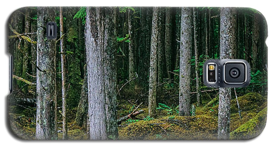 Backroad Galaxy S5 Case featuring the photograph Inside View Backroad Forest by Roxy Hurtubise