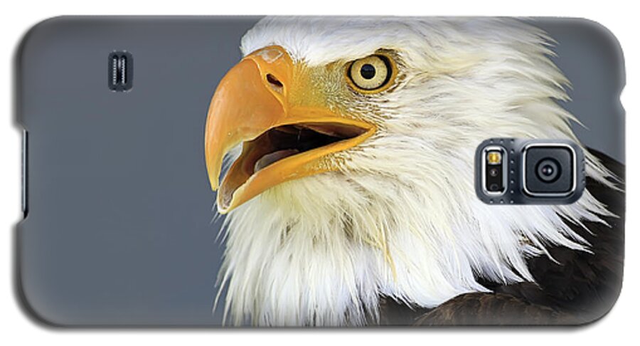 Animal Galaxy S5 Case featuring the photograph Bald Eagle 2 by Teresa Zieba