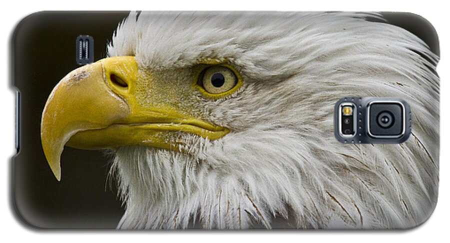 Eagle Galaxy S5 Case featuring the photograph Bald Eagle - 7 by Heiko Koehrer-Wagner