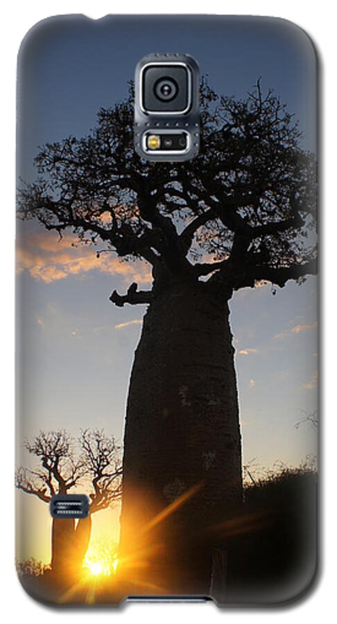 Prott Galaxy S5 Case featuring the photograph baobab from Madagascar 6 by Rudi Prott