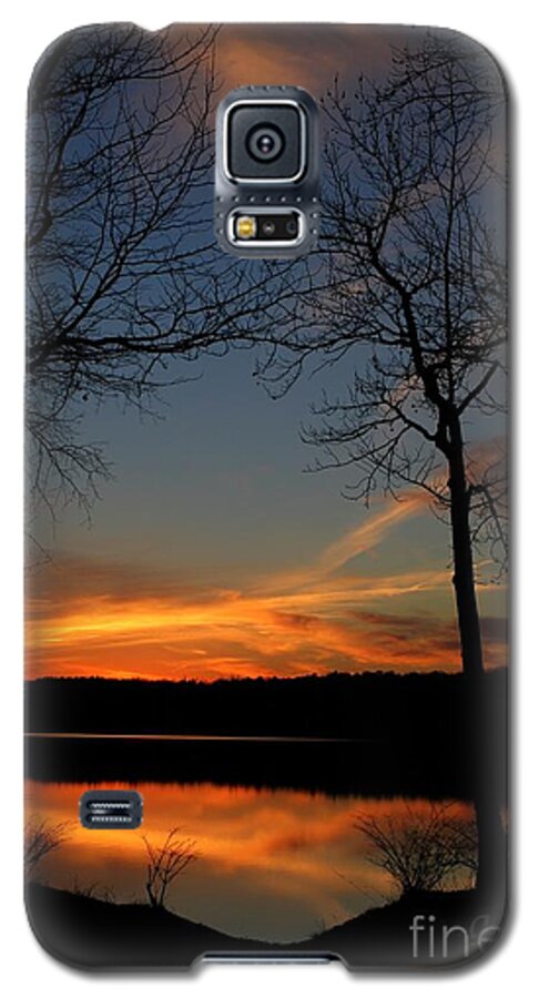 Landscape Galaxy S5 Case featuring the photograph Bare Trees Vertical by Geri Glavis