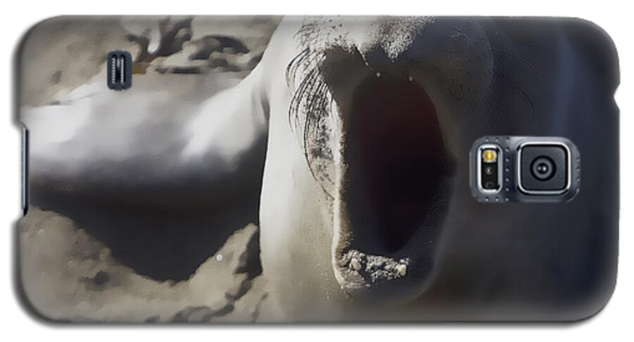 Wildlife Galaxy S5 Case featuring the photograph Barking Elephant Seal by Rich Collins