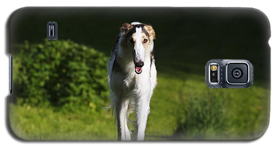 Borzoi Galaxy S5 Case featuring the photograph Barzoi hound running in a woolf like posture by Christian Lagereek