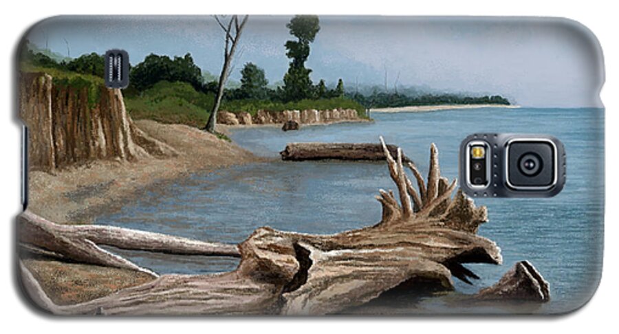 Beach Galaxy S5 Case featuring the painting Beach at Shaggy Shore by Jackie Case