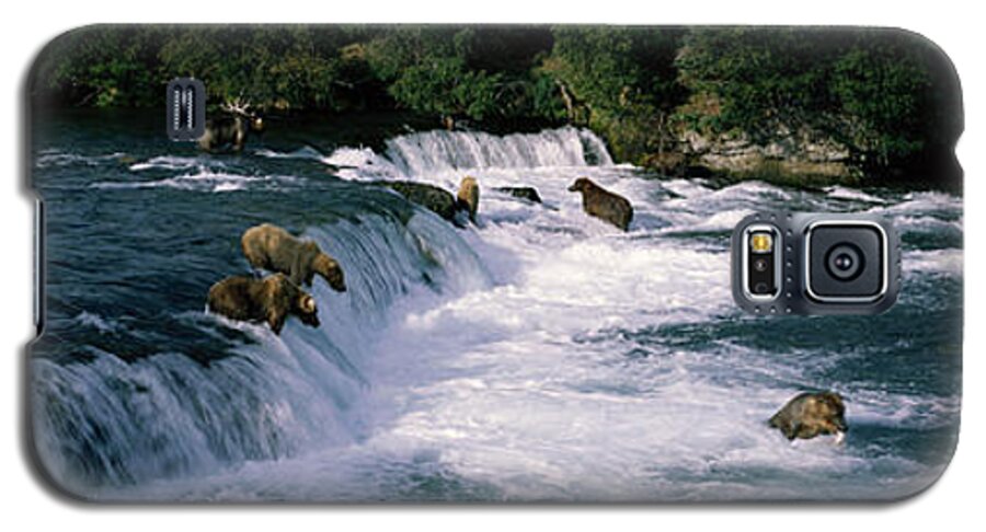 Photography Galaxy S5 Case featuring the photograph Bears Fish Brooks Fall Katmai Ak by Panoramic Images