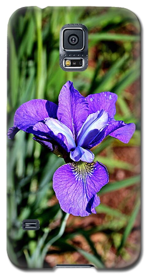 Irises Galaxy S5 Case featuring the photograph Beautiful Iris by Felix Zapata