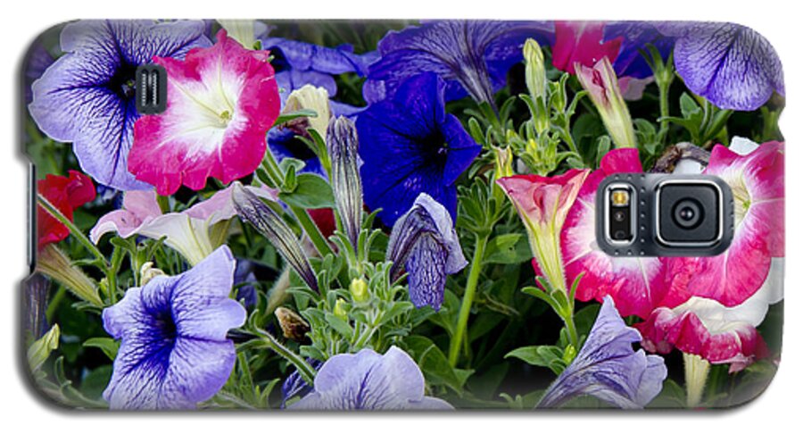 Petunias Galaxy S5 Case featuring the photograph Beautiful Summer Annuals by Wilma Birdwell