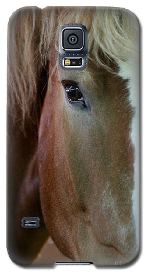 Horse Galaxy S5 Case featuring the photograph Beautiful Within Him Was The Spirit - 2 by Linda Shafer
