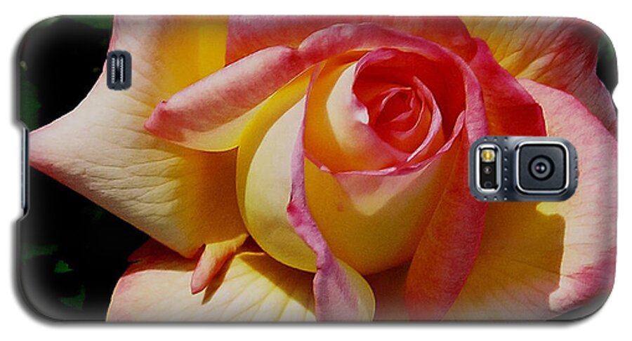 Rose Galaxy S5 Case featuring the photograph Beauty at its Best by Debby Pueschel