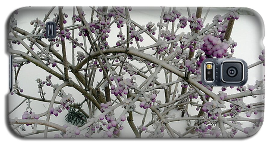 Purple Galaxy S5 Case featuring the photograph Beauty Berry Winter by Mars Besso