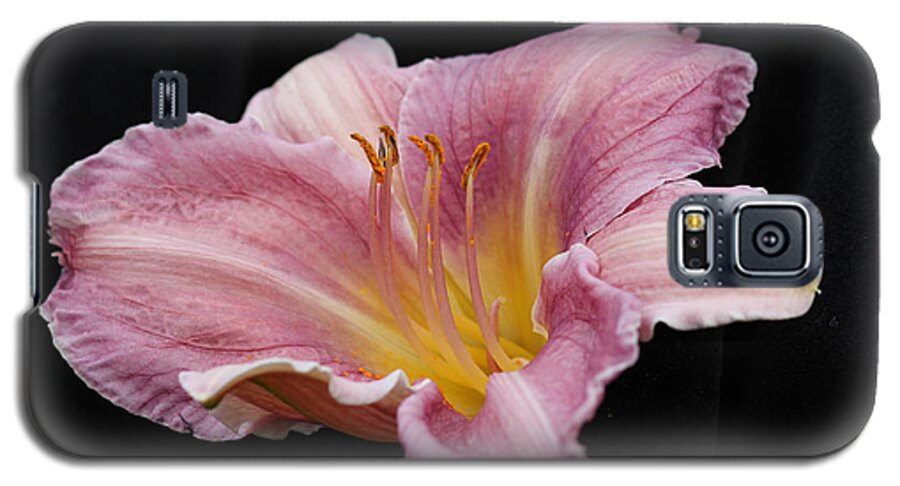 Floral Galaxy S5 Case featuring the photograph Beauty for Just a Day by E Faithe Lester