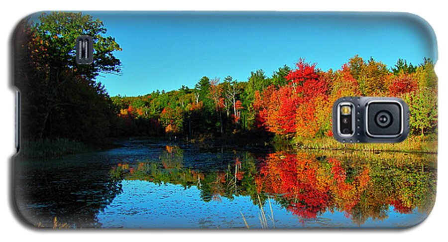 Hdr Galaxy S5 Case featuring the photograph Beaver Pond Foliage by Rockybranch Dreams