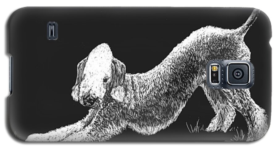 Bedlington Terrier Galaxy S5 Case featuring the drawing Bedlington Terrier by Rachel Bochnia
