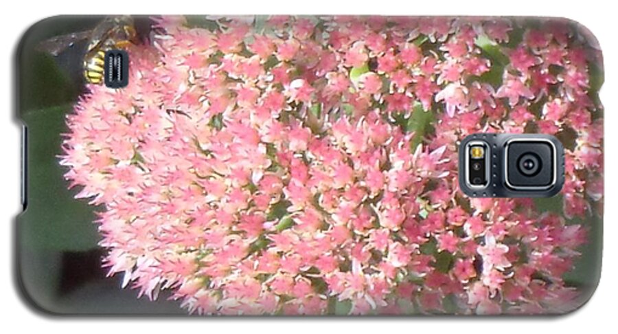  Valentine Galaxy S5 Case featuring the photograph Bee Climbing by Christina Verdgeline