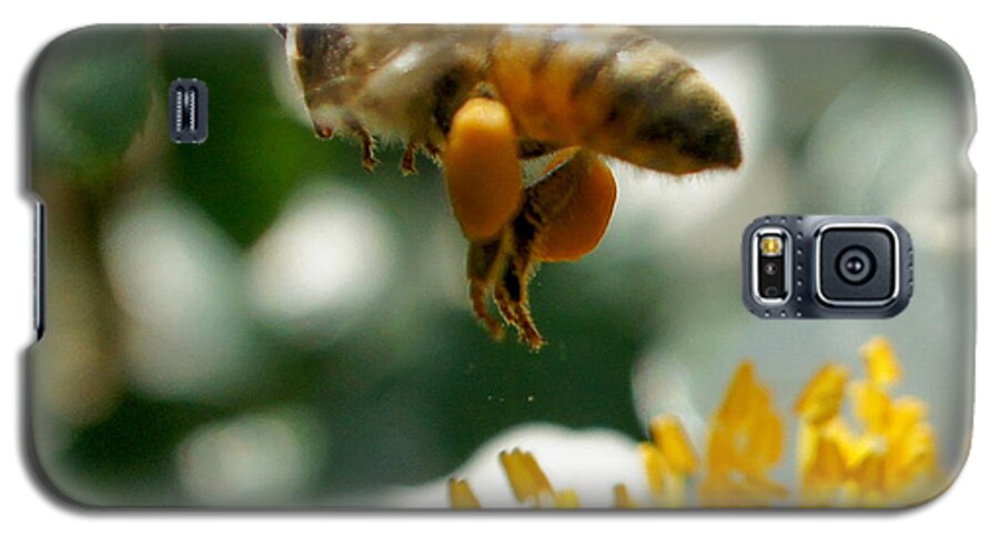 Bee Galaxy S5 Case featuring the photograph Bee's Feet Squared by TK Goforth