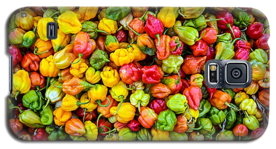 Belize Galaxy S5 Case featuring the photograph Belize Peppers II by Randy Green