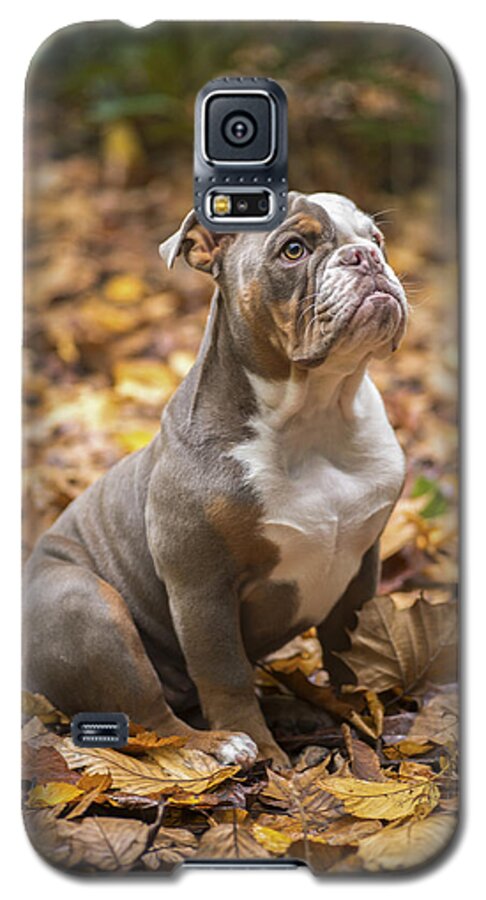 Autumn Galaxy S5 Case featuring the photograph Bella by Joye Ardyn Durham