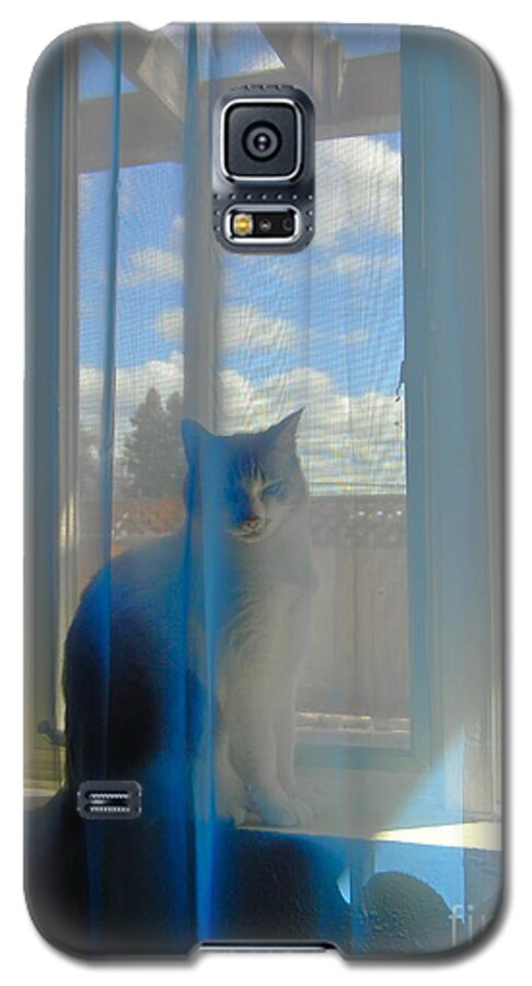 Cat Galaxy S5 Case featuring the photograph Bella Vista by KD Johnson