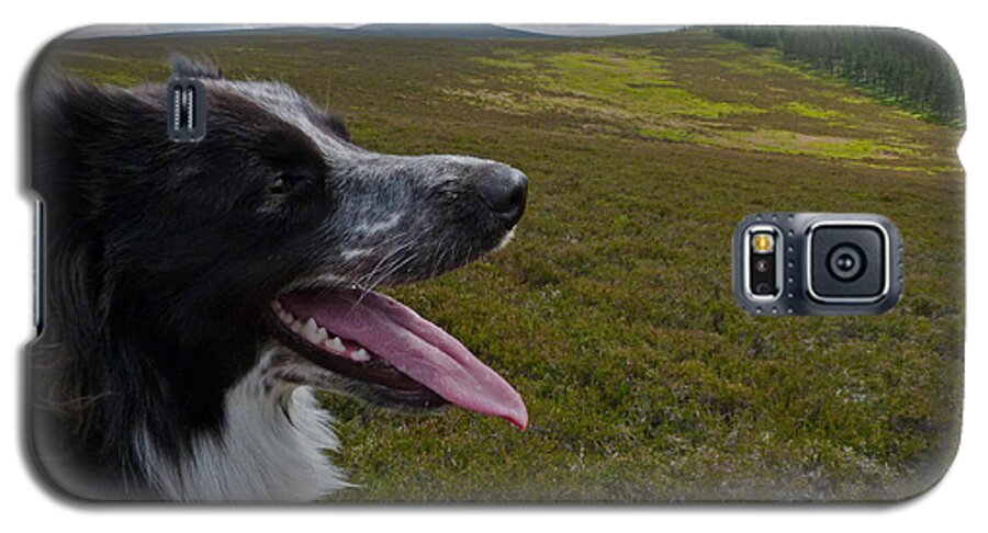 Dogs Galaxy S5 Case featuring the photograph Ben - Border Collie by Phil Banks