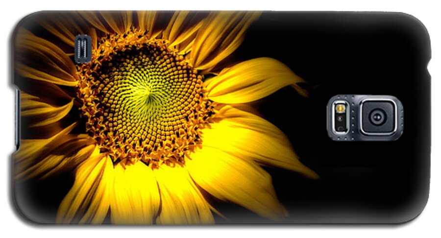 Sunflower Galaxy S5 Case featuring the photograph Between Here And There by Bob Orsillo